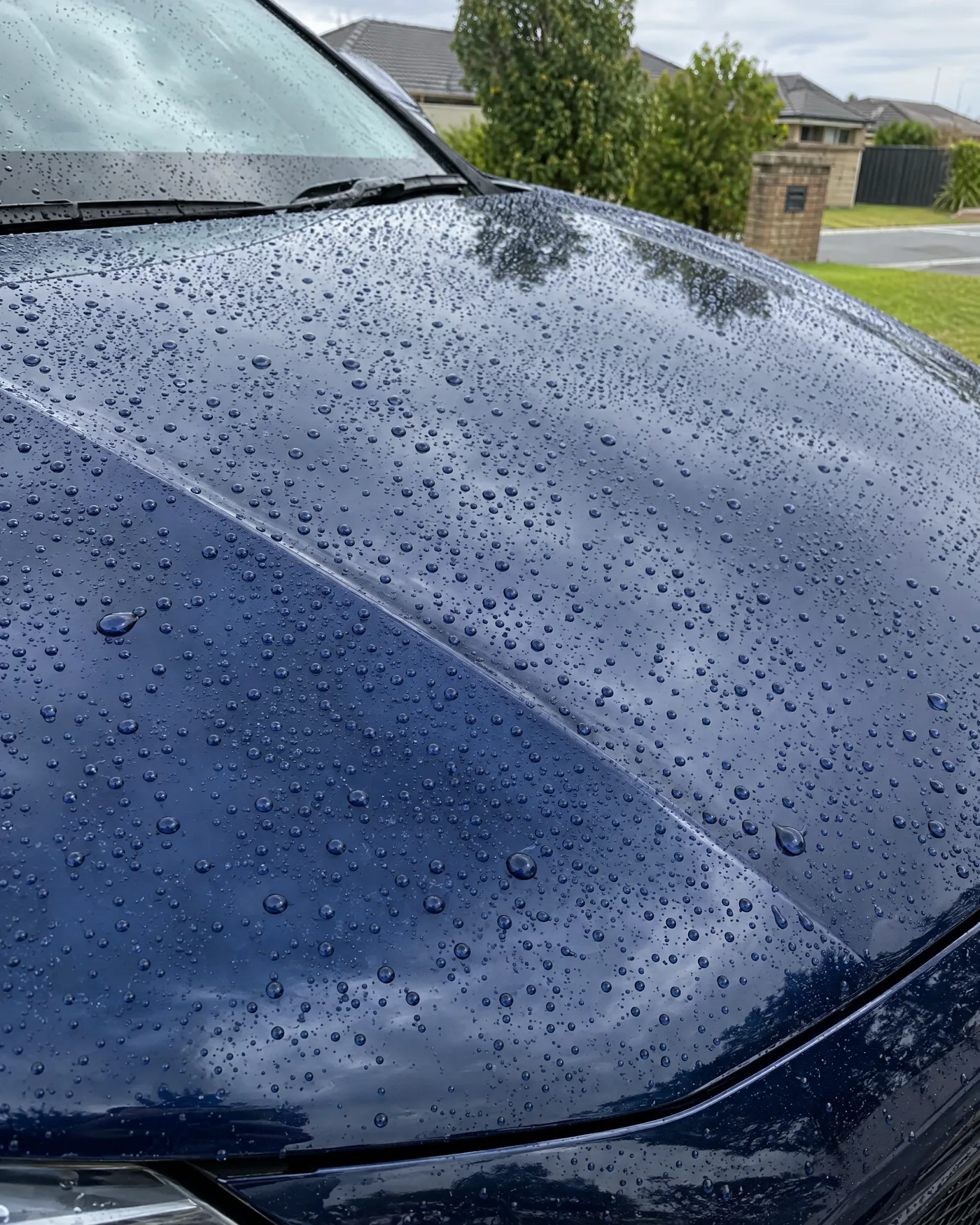 After: tight water beads on the coated bonnet