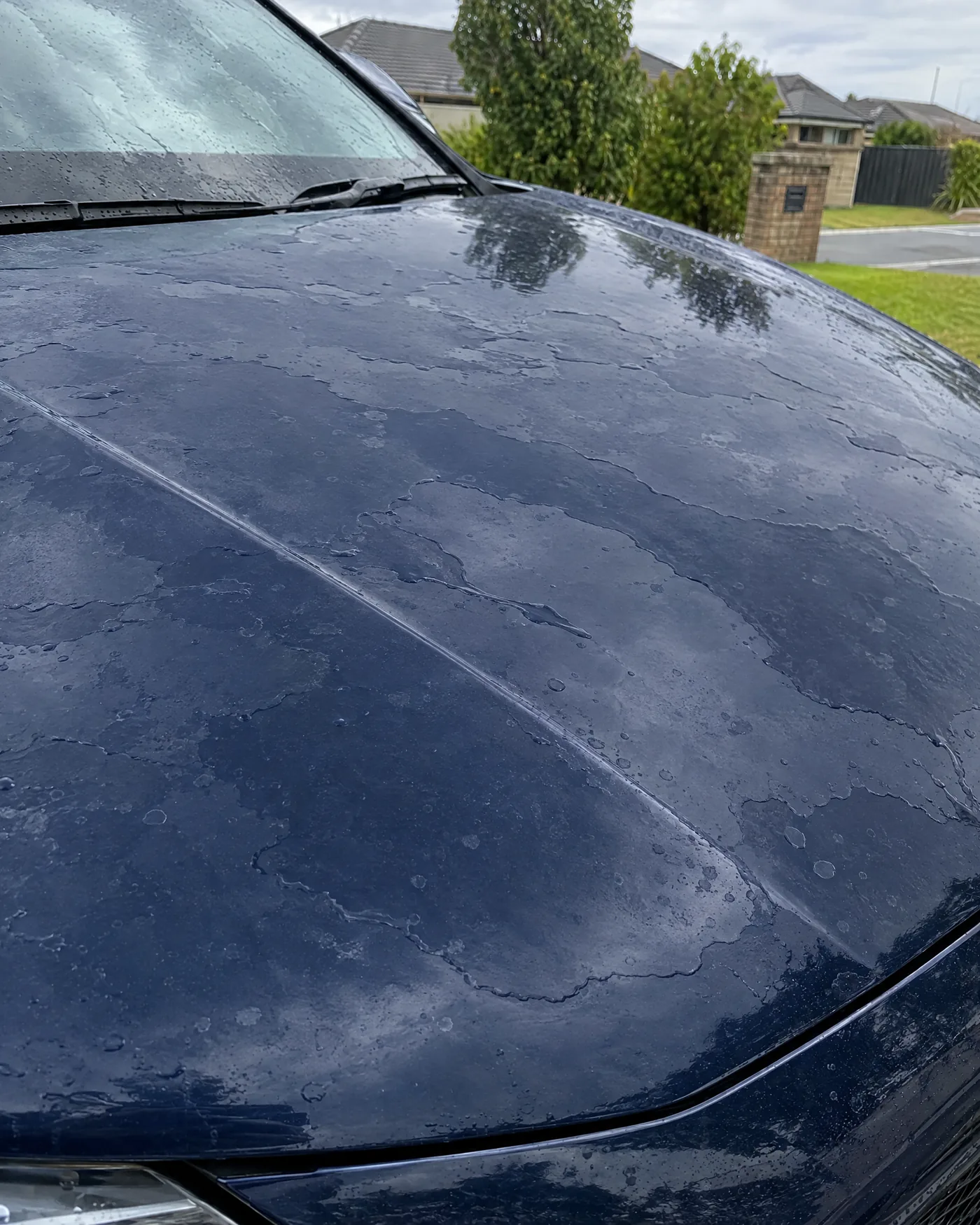 Before: water sitting flat on an uncoated bonnet